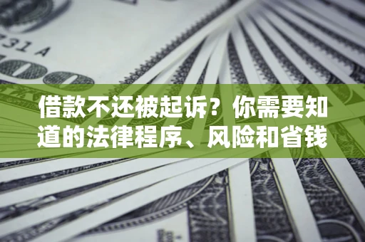 济南借款不还被起诉？你需要知道的法律程序、风险和省钱技巧